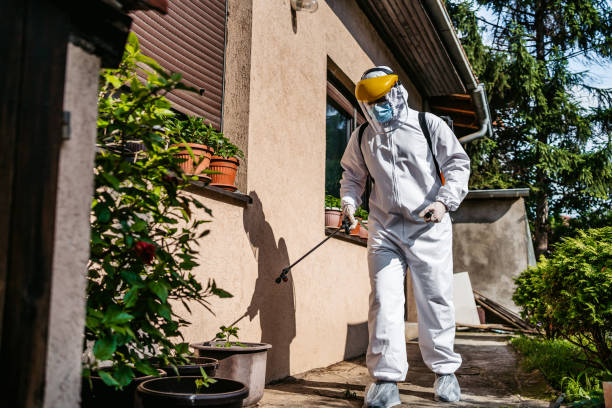 Best Affordable Pest Control Services  in Fairview, TN