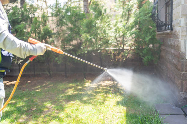 Best Emergency Pest Control  in Fairview, TN