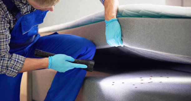 Best Wasp Removal Services  in Fairview, TN