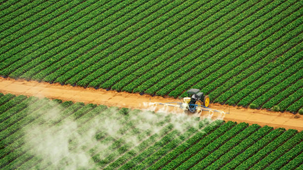 Best Affordable Exterminators  in Fairview, TN