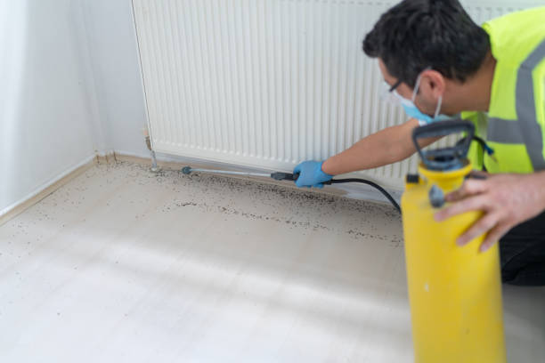 Best Mosquito Control Services  in Fairview, TN