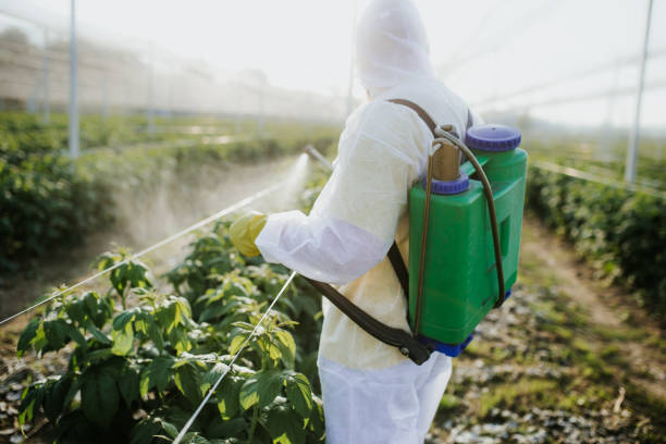 Best Mosquito Control Services  in Fairview, TN